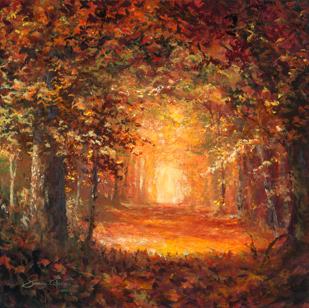 Fall Colors