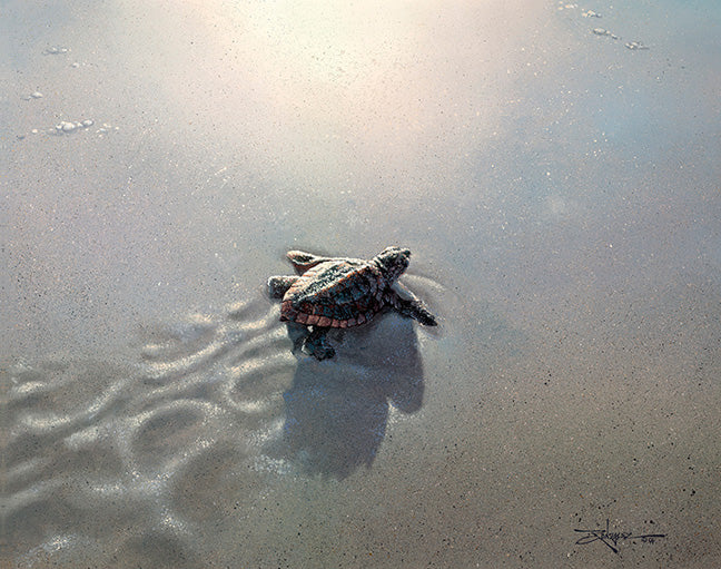 First Light by Rodel Gonzalez