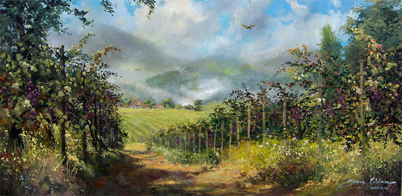 Napa Vineyard by James Coleman