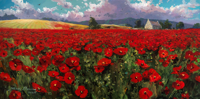 Poppies In Provence