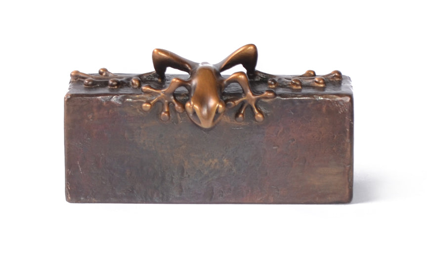 Paperweight - Horizontal by Frogman by Frogman Tim Cotterill