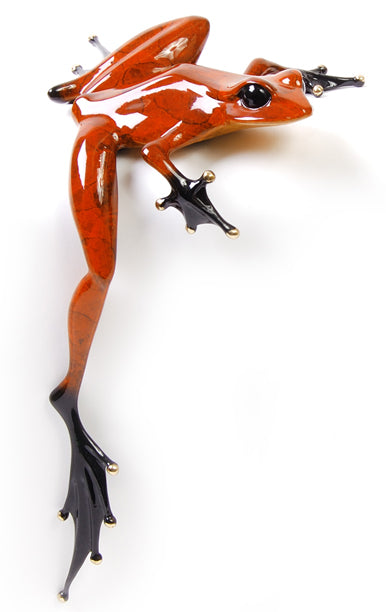 Hung Over by Frogman Tim Cotterill