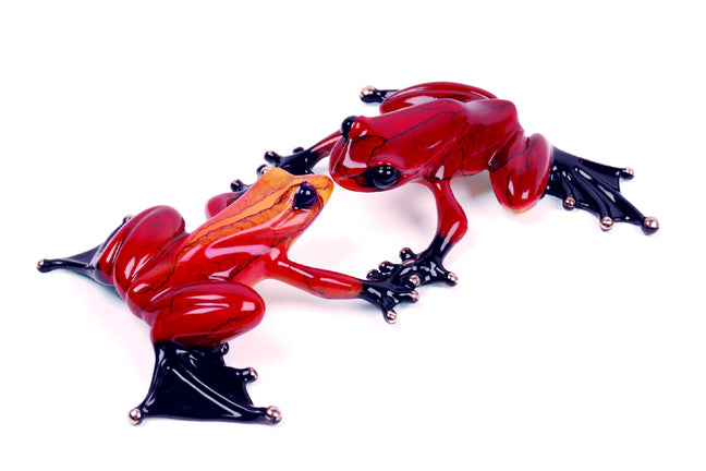 Kiss by Frogman Tim Cotterill