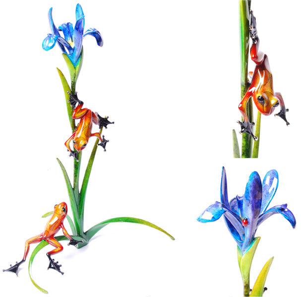 Iris by Frogman Tim Cotterill