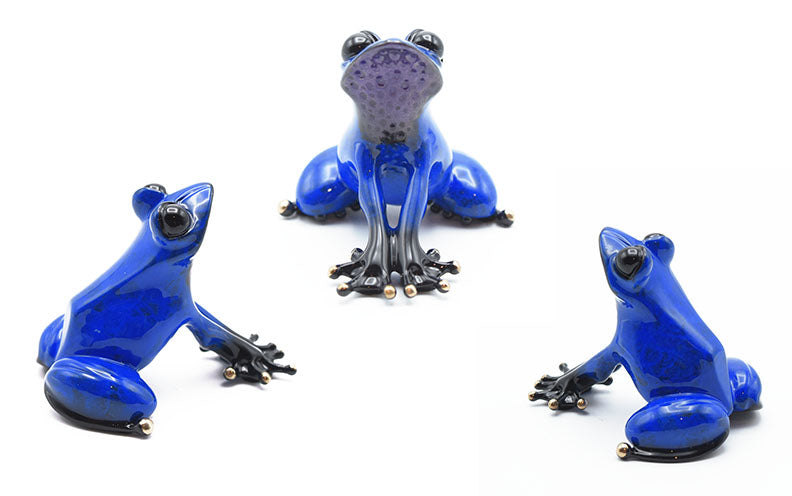 Indigo by Frogman Tim Cotterill