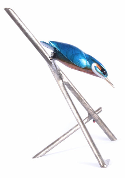 Diver Blue Frogman Tim Cotterill