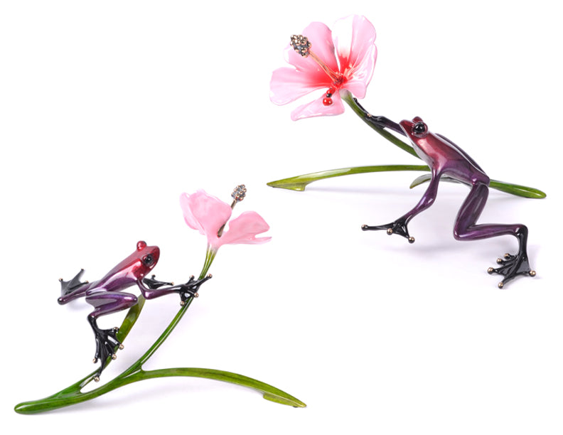 Pink Chiffon by Frogman Tim Cotterill