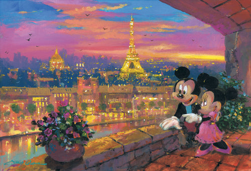A Paris Sunset by James Coleman