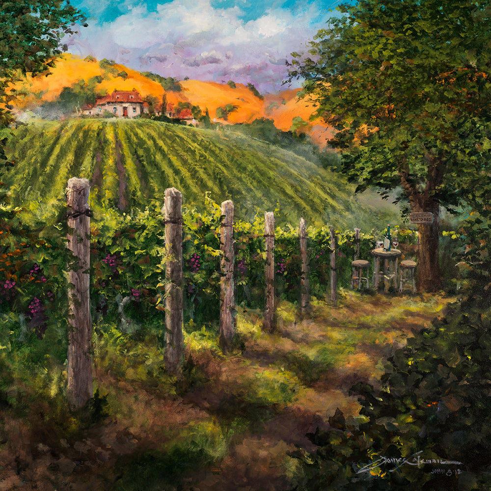 A Walk in the Vineyard