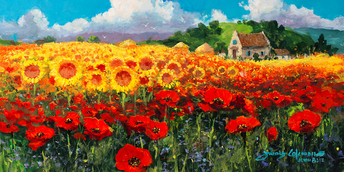 Poppies and Sunflowers by James Coleman