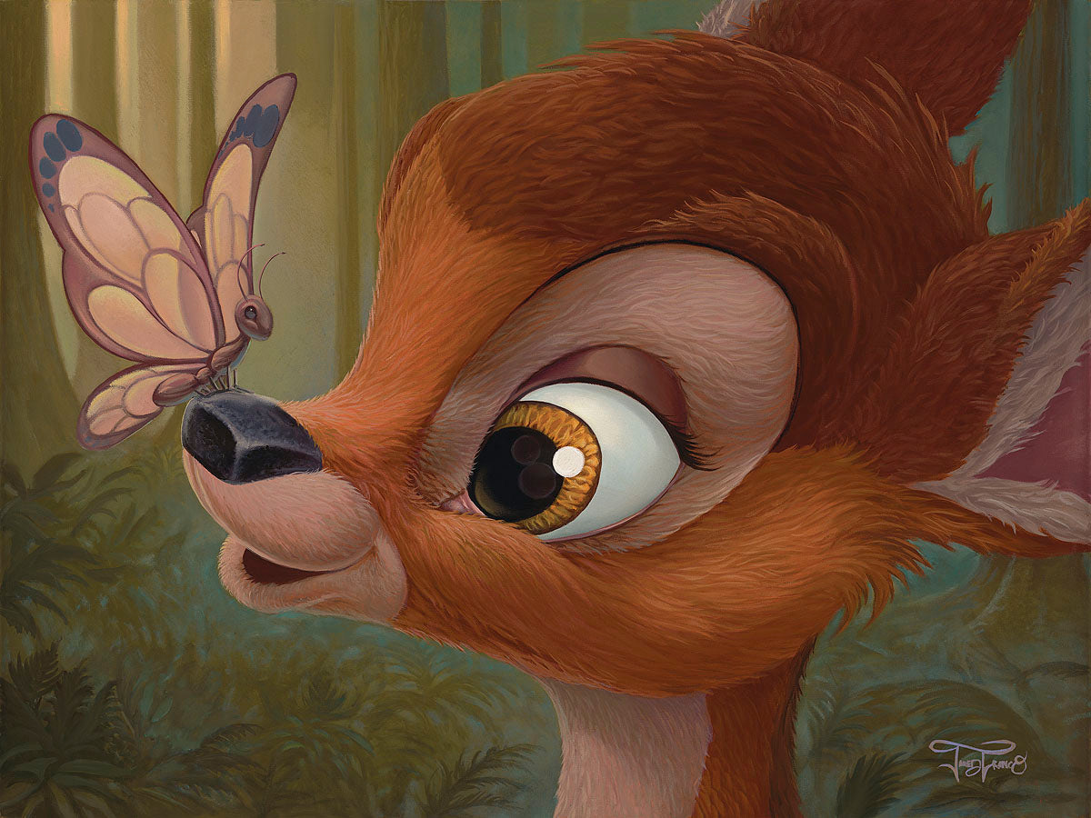 Nosey Butterfly by Jared Franco