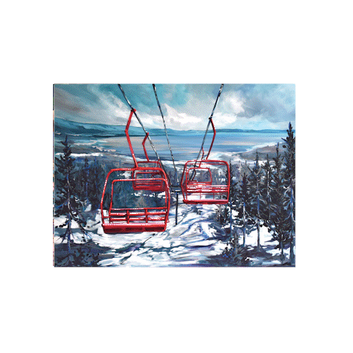 Tahoe Views